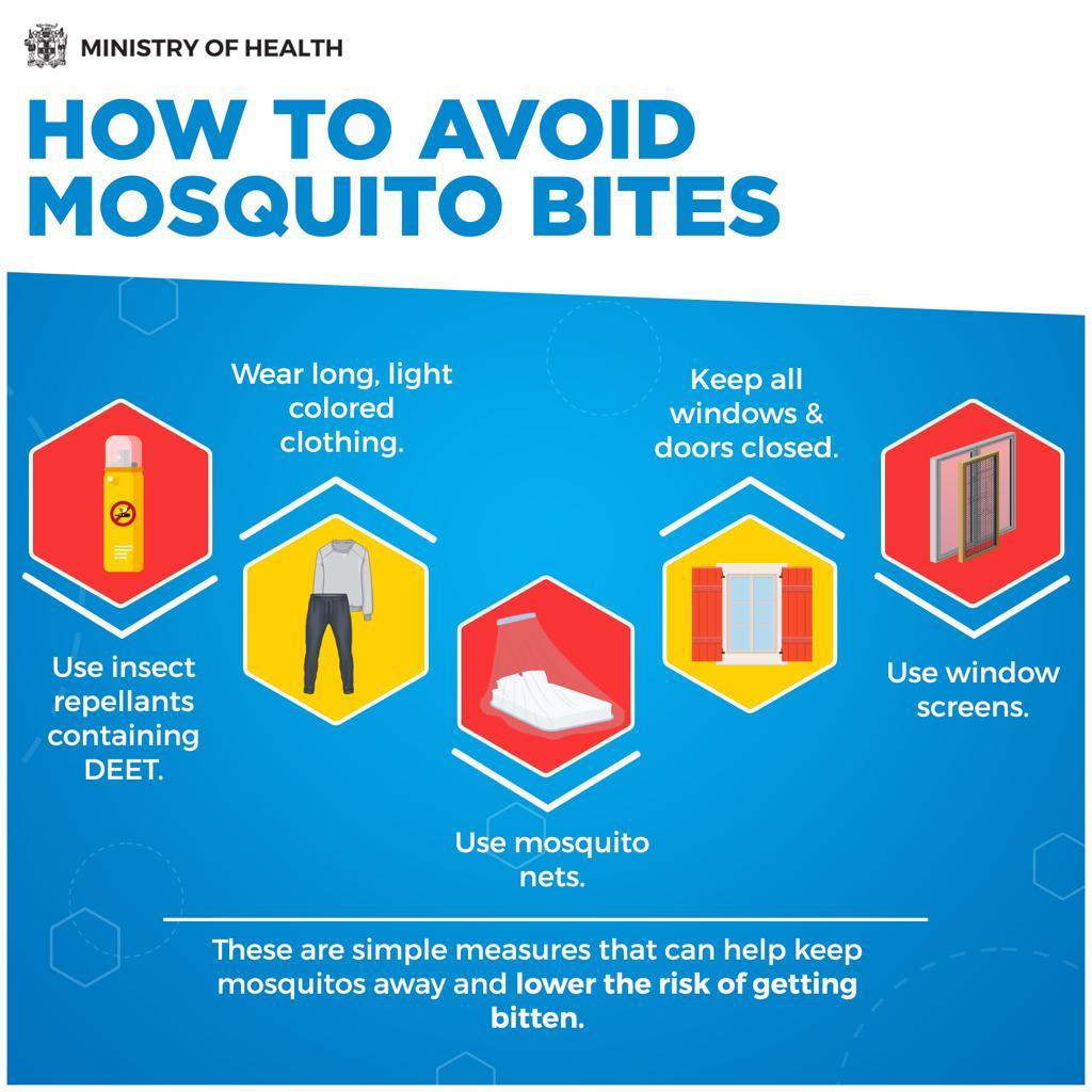 Preventing Dengue