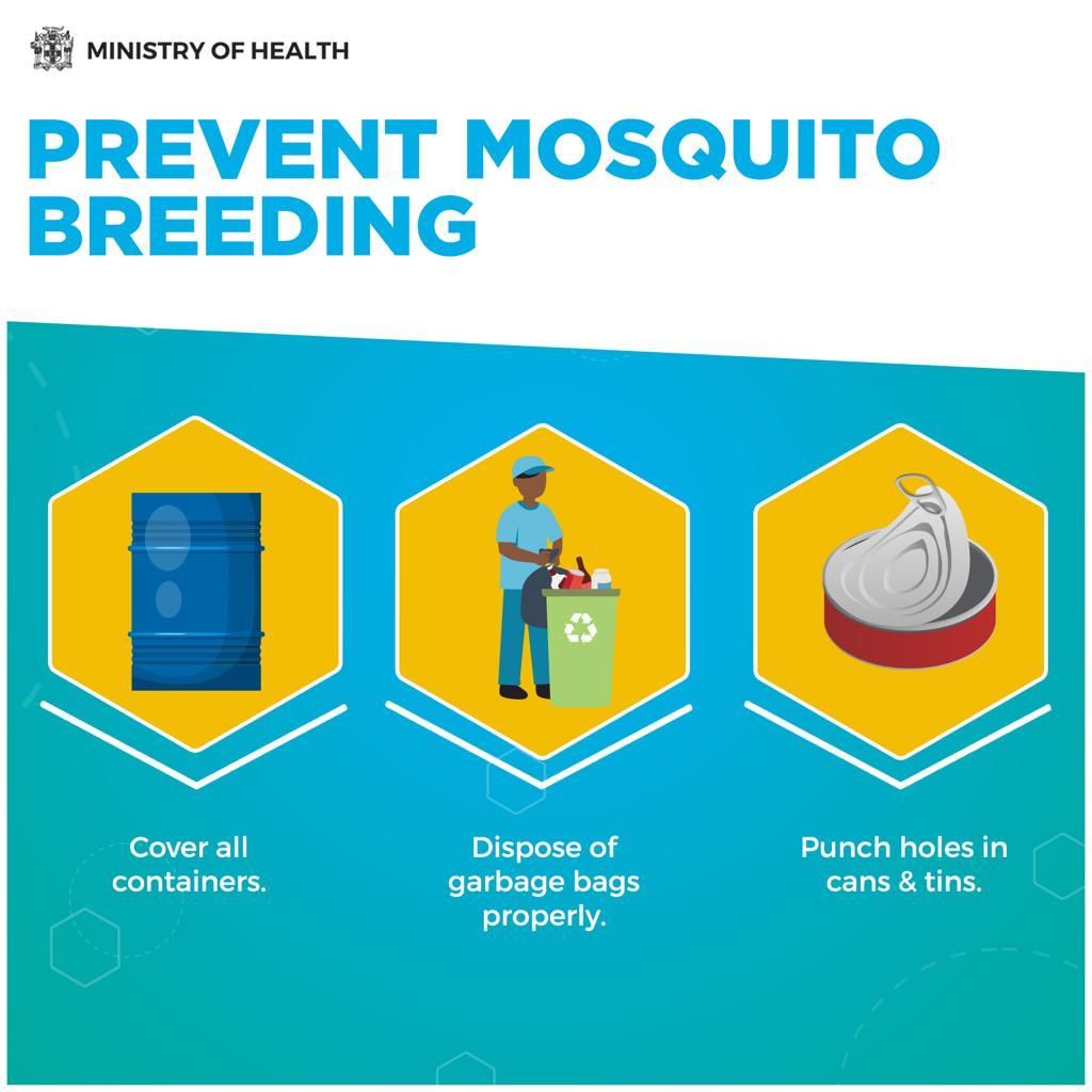 Preventing Dengue